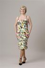 Žirafa se slony